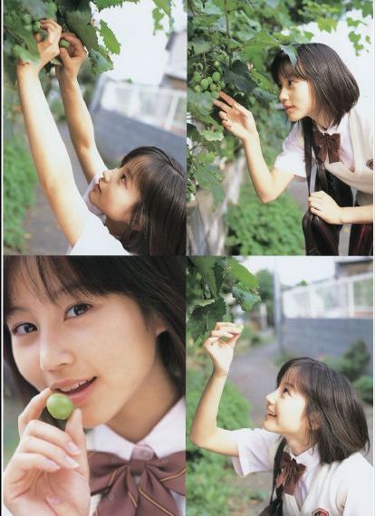 恶魔的蜂蜜