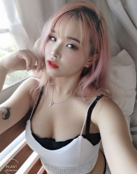 麻豆免费电影