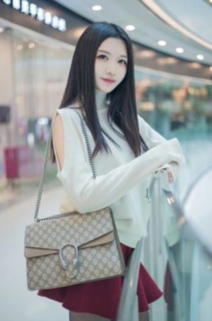 东方侠客电视剧免费观看全集