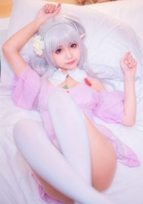 布鲁伊第三季