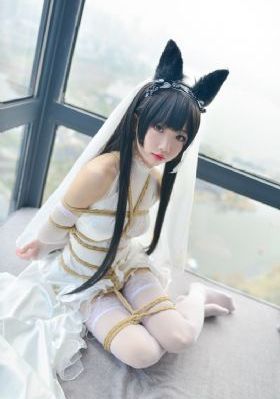 变形金刚5