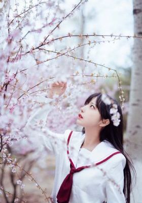 双城之战在线观看