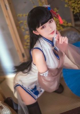私人手段